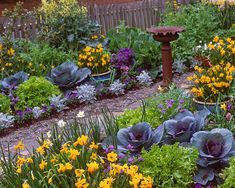 a garden filled with lots of different types of flowers