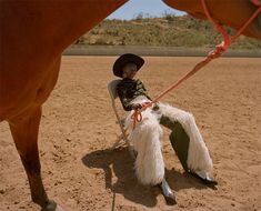 a person sitting in a chair next to a horse and holding the reins with their legs