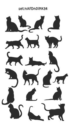 cat silhouettes are shown in black and white