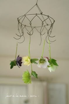 three flowers hanging from a wire in a room