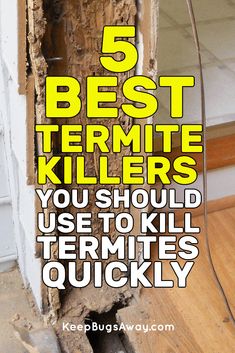 the words 5 best termite killers you should use to kill termites quickly