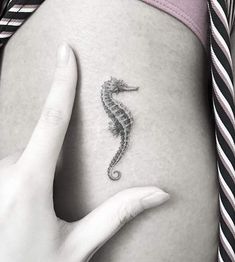 a woman's stomach with a seahorse tattoo on her left side ribcage