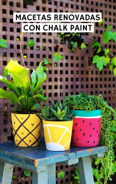 three potted plants sitting on top of a wooden table