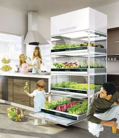 a man and two children are looking at vegetables in the refrigerator while another child looks on