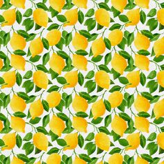 watercolor lemons with green leaves on white background