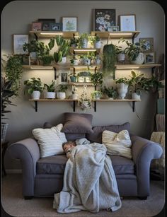 a living room filled with lots of potted plants next to a wall mounted shelf