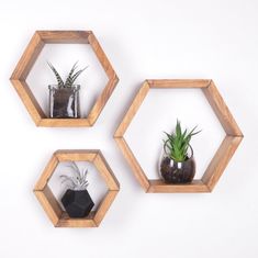 three wooden hexagonal shelves with plants in them