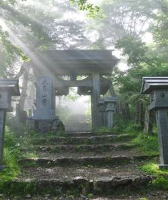 the sun shines through the foggy forest with stone steps leading up to an entrance