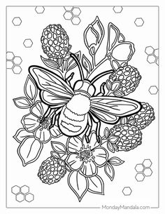 a coloring page with flowers, bees and honeycombs in the center on a white background