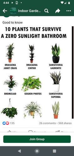 the top ten houseplants that survive a zero sunlight bathroom plant list is shown in black and white