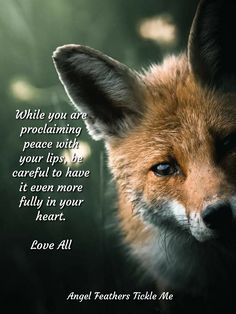 a close up of a fox with a quote on it