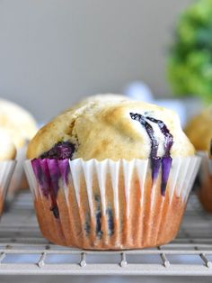 blueberry muffins cooling on a rack with other muffins in the background