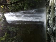 a large waterfall in the middle of a forest