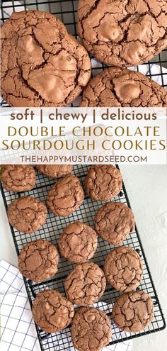 soft and chewy chocolate double chocolate sourdough cookies