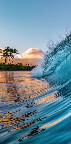 an ocean wave with palm trees in the background