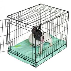 a black and white dog sitting in a cage on a green pillow with the door open