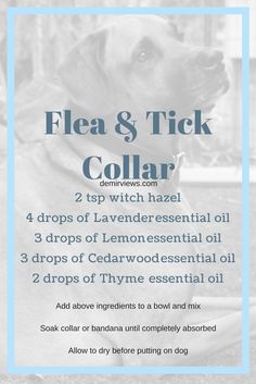 the flyer for flea and tick collar