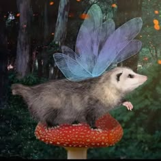 a ferret is standing on top of a mushroom with a blue dragon wing attached to it's back