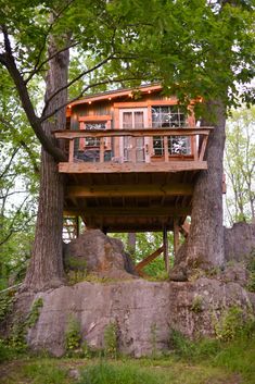 a tree house built into the side of a large tree