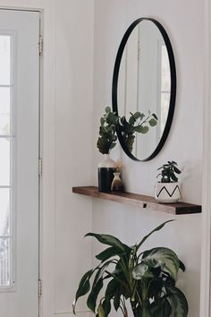 a potted plant sitting on top of a wooden shelf next to a round mirror