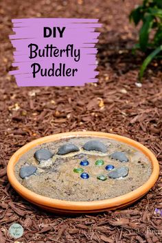 Clay dish with sand and pebbles for butterflies. Small Butterfly Garden Ideas, Butterfly Garden Ideas, Butterfly Things, Butterfly Cage, Butterfly Feeders, Butterfly Feeder, Butterfly Garden Design, Bee Friendly Garden