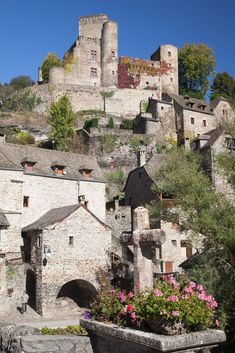 an old castle on top of a hill with flowers in the foreground and trees around it