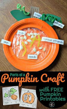 a paper plate with pumpkin crafts on it and the words parts of a pumpkin craft