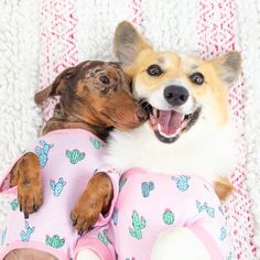 two dogs are laying next to each other on the floor, one is wearing pajamas and the other has his mouth open