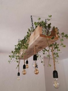 some plants are growing on top of the light bulbs and hanging from a wooden beam