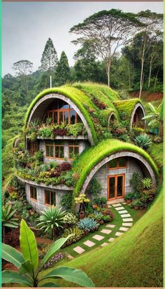 an unusual house with green roof and plants growing on the walls is shown in this photo