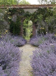 a garden with lots of purple flowers and plants growing on the side of an old brick building