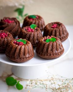 small chocolate cakes on a white plate with green leaves