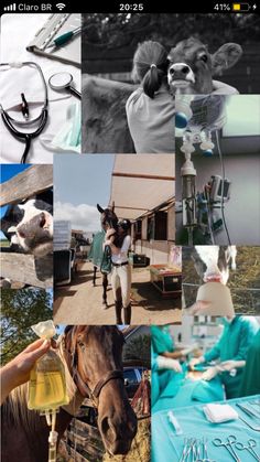 a collage of photos with horses and people