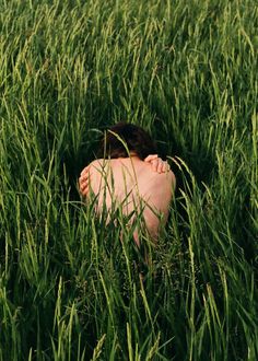 a woman laying in the middle of tall grass