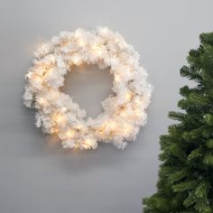 a christmas wreath is hanging on the wall next to a small fir tree with white lights