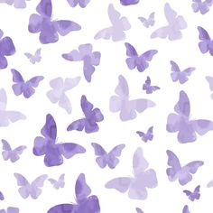 purple butterflies are flying in the air