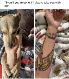 two pictures of a dog with tattoos on their arms