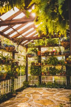 the inside of a greenhouse filled with potted plants