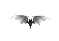 a black and white photo of a bat on a white background, with the wings spread out