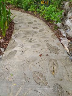 a stone path with leaves and plants on it