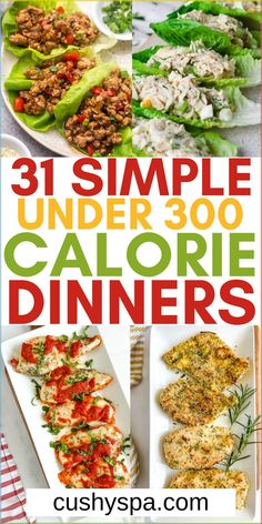 the cover of 31 simple under 300 calorie dinners with pictures of different dishes