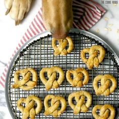 a dog is looking at some pretzels on a cooling rack