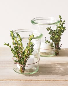 three glass vases filled with plants on top of a wooden table next to each other