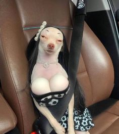 a small dog sitting in the back seat of a car wearing a dress and headband