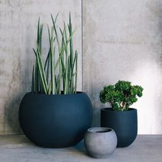 two planters sitting next to each other in front of a wall