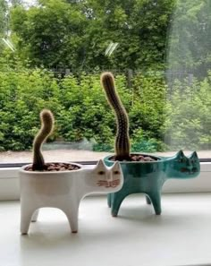 two cactus plants in ceramic cats shaped planters