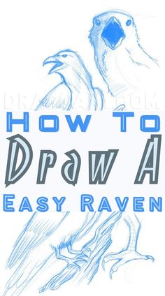 How To Draw A Raven How To Draw Raven, Raven Drawings, Raven Bird Drawing, Drawings Of Ravens, Raven Art Drawing, How To Draw Raven Birds, Draw A Raven Step By Step