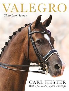 a brown horse wearing a bridle and harness