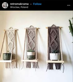 three macrame wall hangings with plants and potted plants in them on the wall