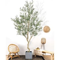 a potted tree sitting on top of a rug next to a chair and table